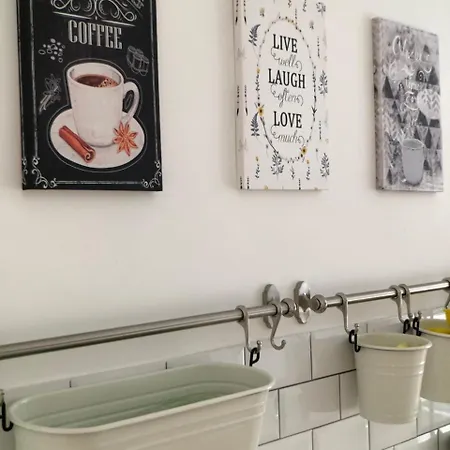 Open Space Vatican Museum רומא